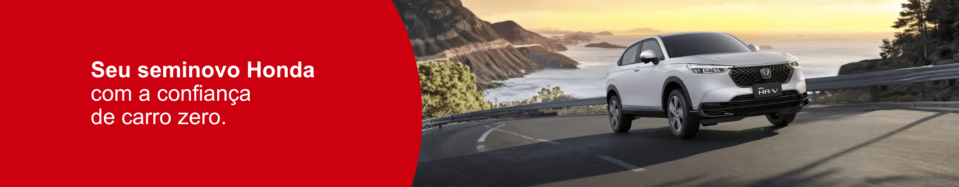Seminovos com Garantia